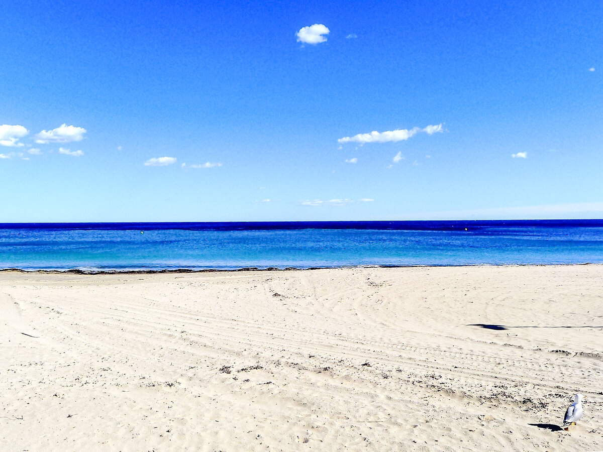 Appartement Aguamarina – 9e étage, vue mer, à 50 m de la plage - Photo 5