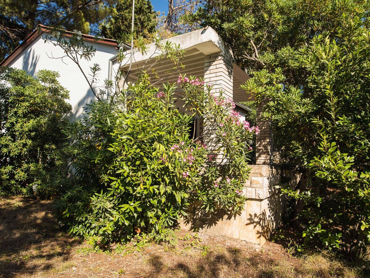 Maison Dada à 15 m de la mer, Rovanjska - Photo 19