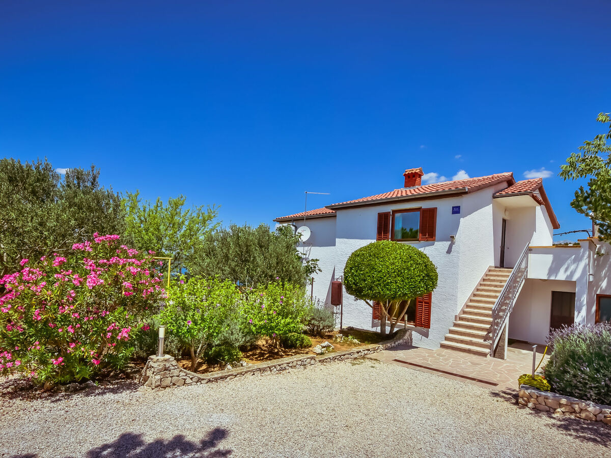 Maison Kate 10 personnes, vue mer à Novigrad - Photo 1