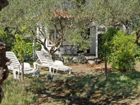 Nikolina, Maison 4 personnes à Vir - Photo 26