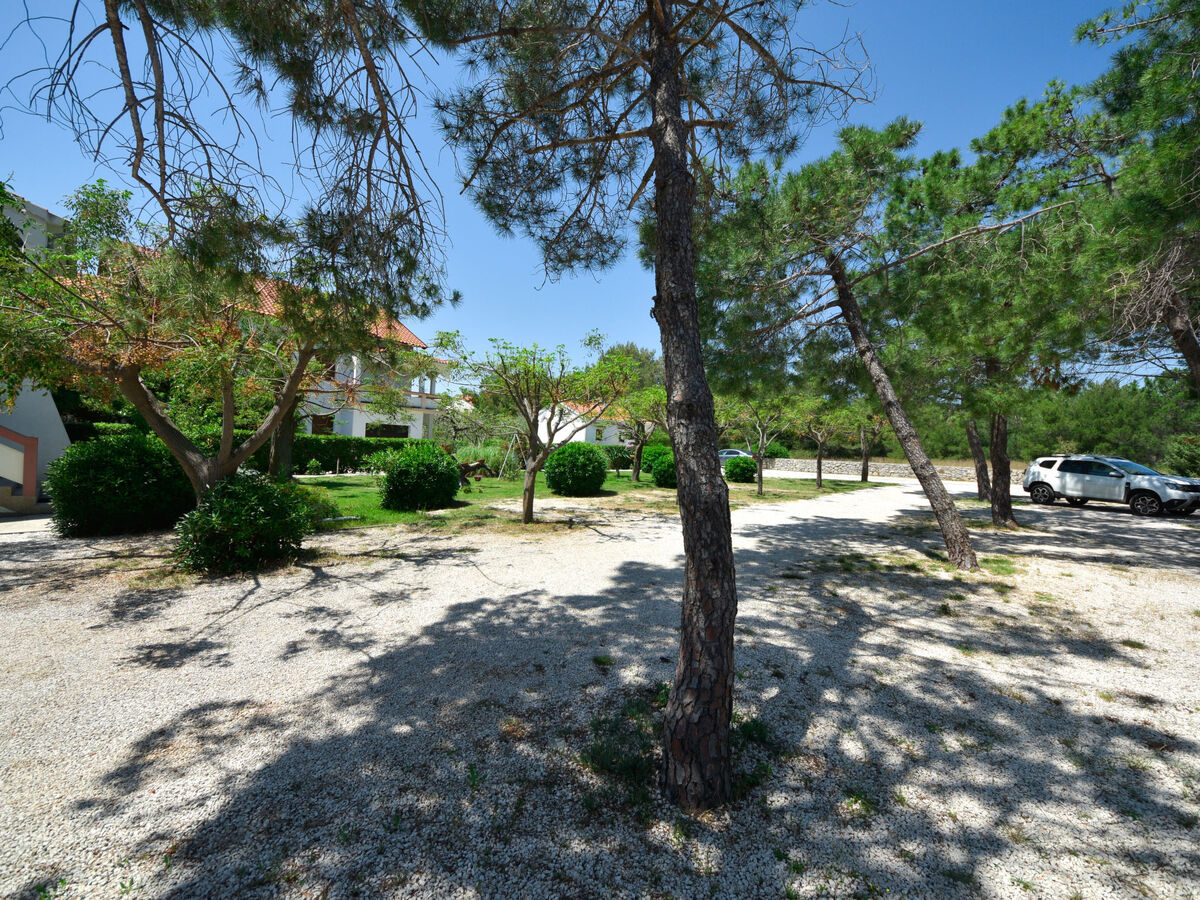Ana, Maison 4 personnes à Vir - Photo 13