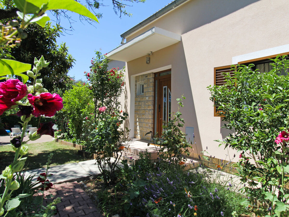 Mihovilka, maison 6 chambres avec piscine privée - Photo 18