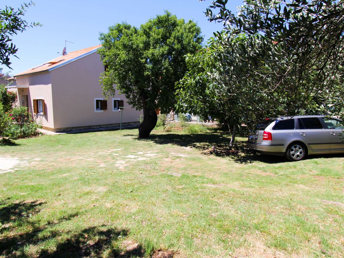 Mihovilka, maison 6 chambres avec piscine privée - Photo 49