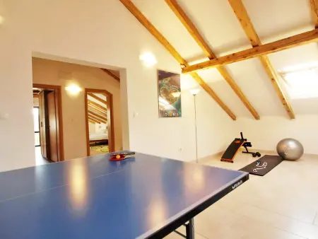 Mihovilka, maison 6 chambres avec piscine privée : photo 19