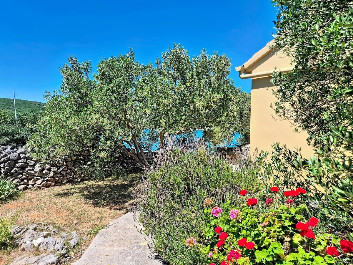 Maison Rudi sur l'île de Pašman, vue mer directe - Photo 11
