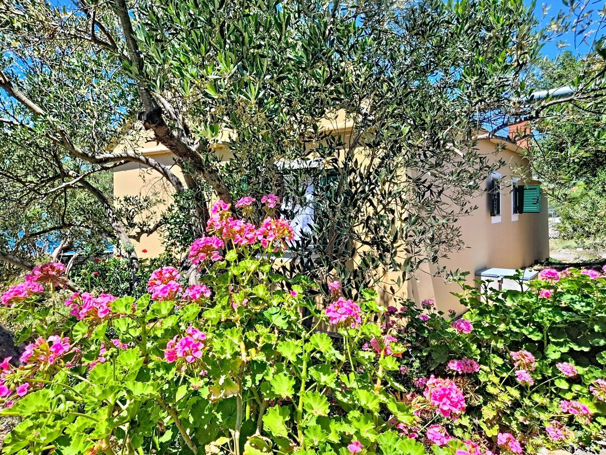 Maison Rudi sur l'île de Pašman, vue mer directe - Photo 31