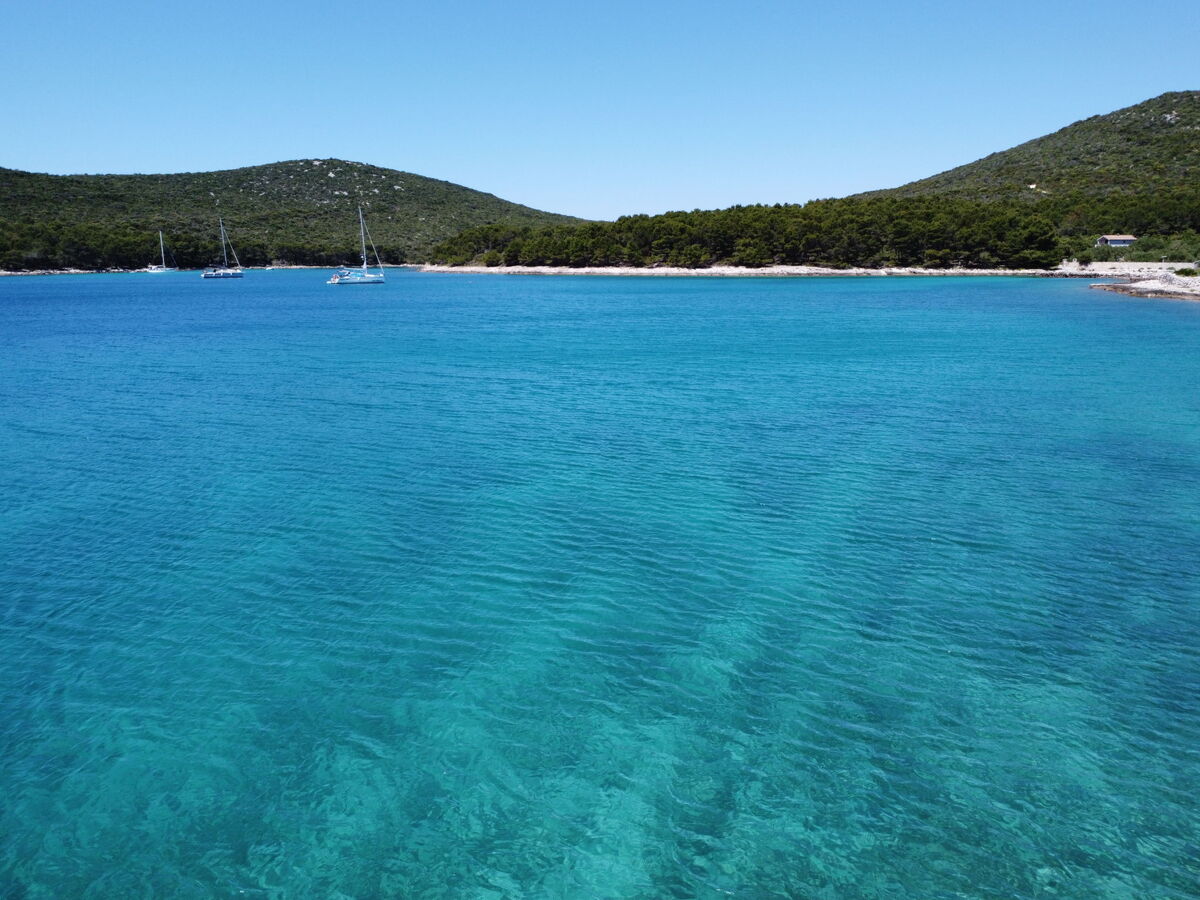 Maison Rudi sur l'île de Pašman, vue mer directe - Photo 38
