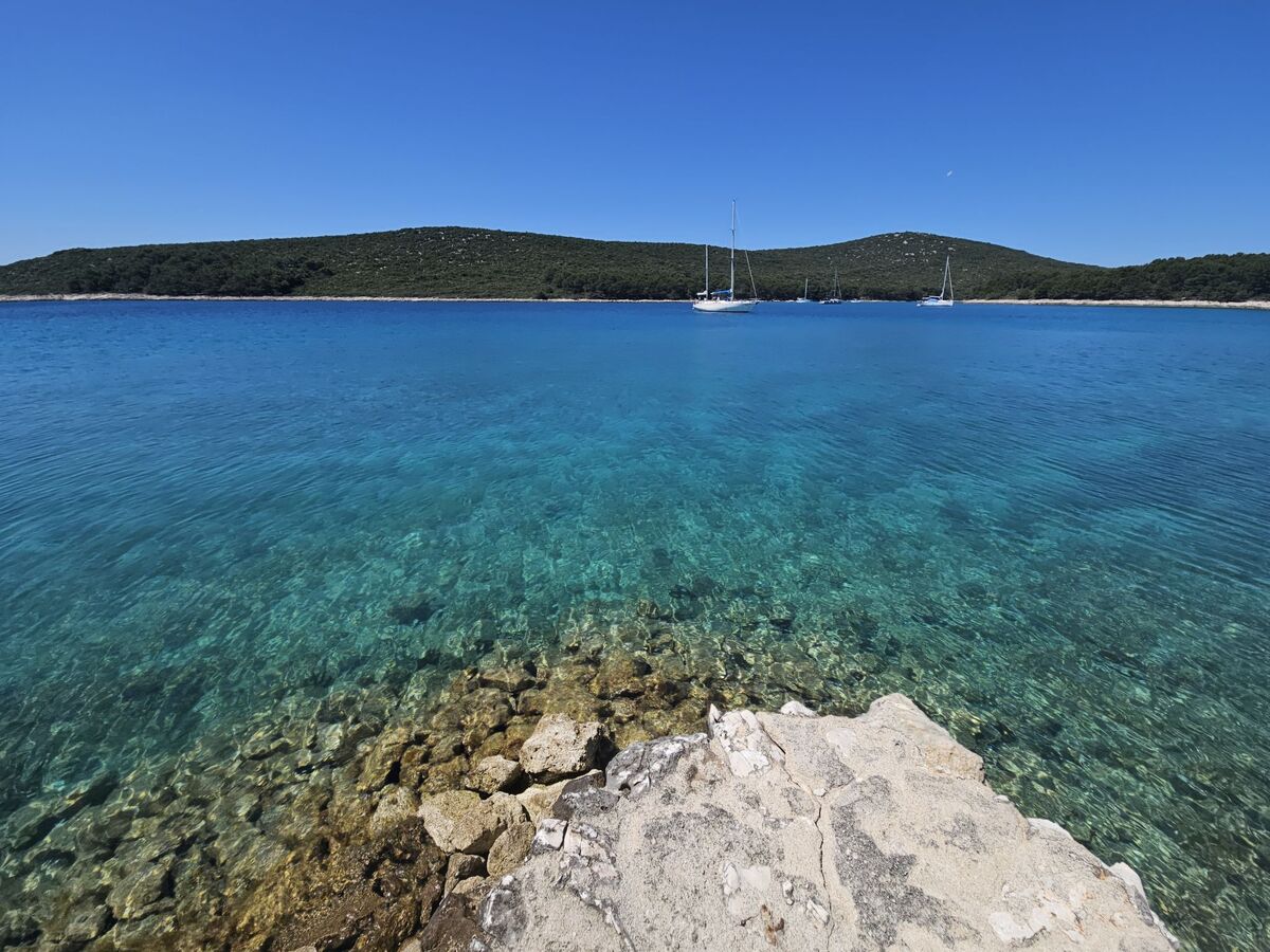 Marica, maison 5 pers. face à la mer à Pašman - Photo 14