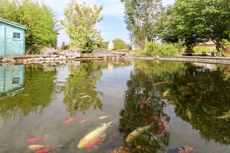 Villa Pierre Blanche - 8 pers, piscine chauffée - Photo 26