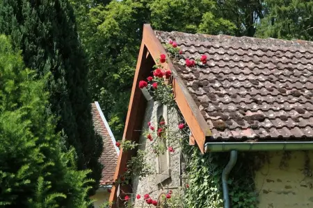 Château de la Mothe - 12 personnes, 6 hectares : photo 2