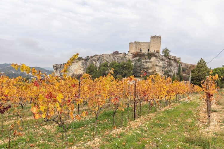 Villa de campagne avec piscine à Vaison-la-Romaine - Photo 35