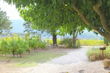Le Mûrier, gîte 4 pers. avec piscine à Oppède : photo 28