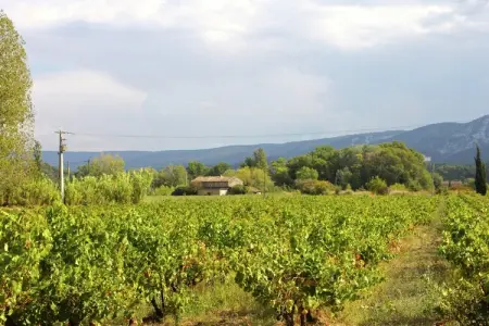 Le Mûrier, gîte 4 pers. avec piscine à Oppède : photo 29