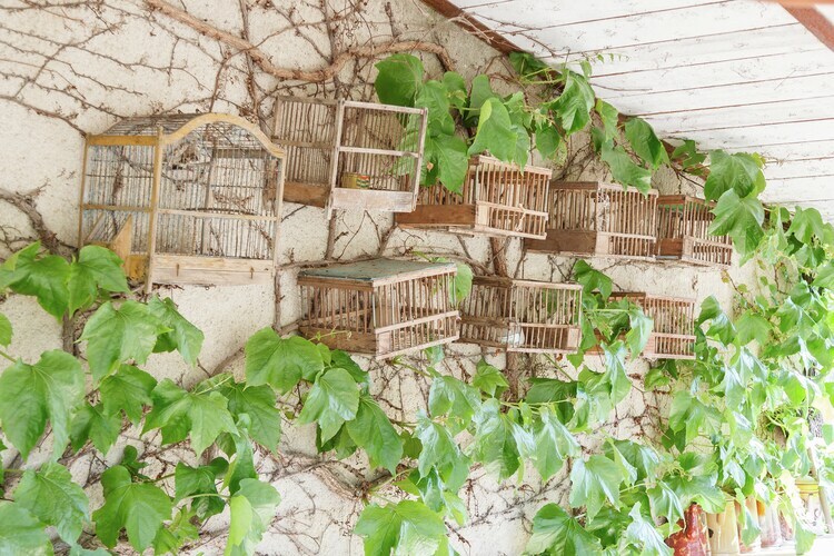 Le Tilleul – Gîte 4 pers. avec piscine à Oppède - Photo 27