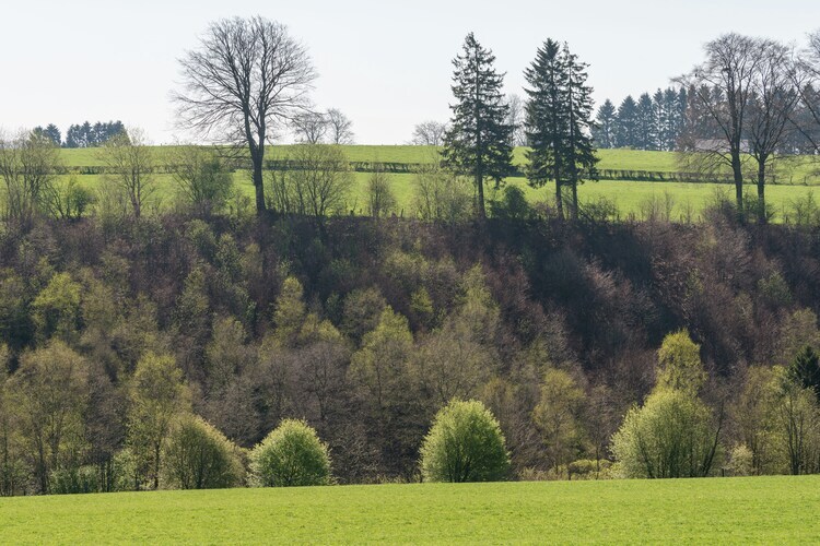 Ol Cor, ferme ardennaise 1783 à Waimes - Photo 33