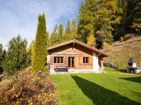 Als man zählte 1989, Chalet 4 personnes à St Niklaus - Photo 24