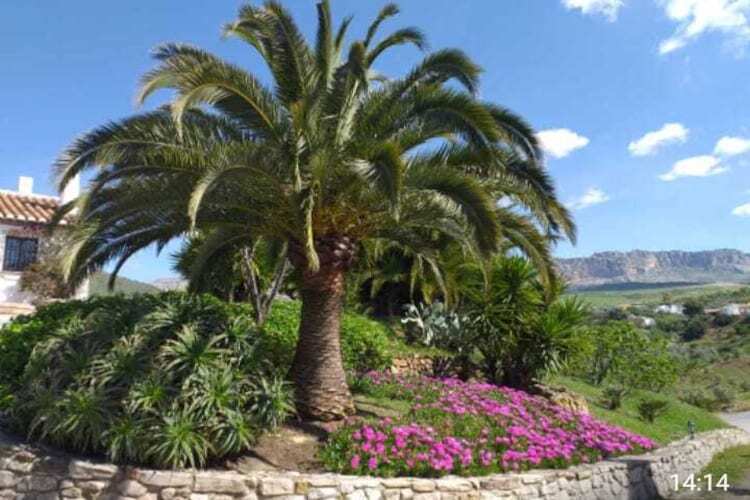 Finca Lomas de Tienda, maison rurale avec piscine - Photo 38