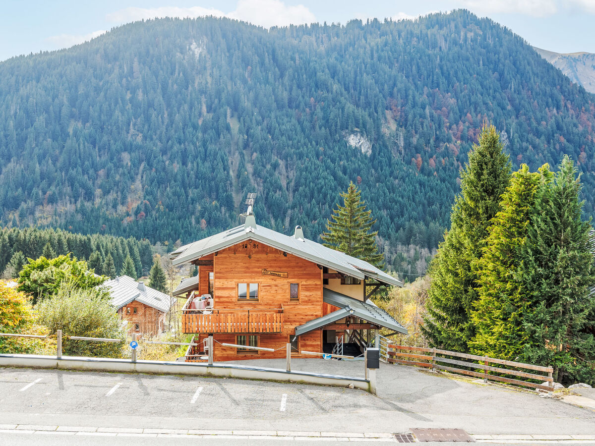 Chalet Le Petit Savoyard – apt vue montagne à Châtel - Photo 25