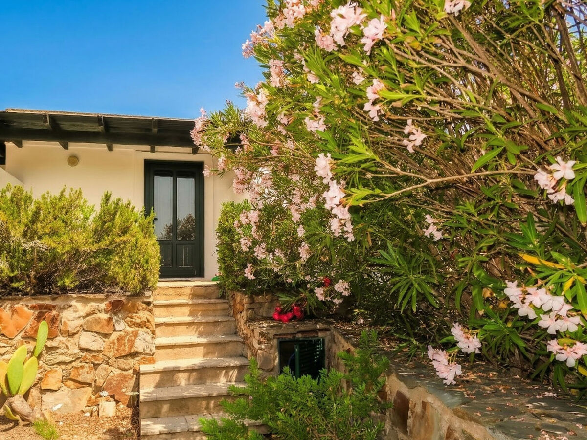Sa Casitta – Maison 6 pers. vue mer à Stintino - Photo 6
