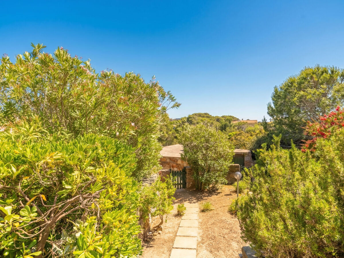 Sa Casitta – Maison 6 pers. vue mer à Stintino - Photo 18