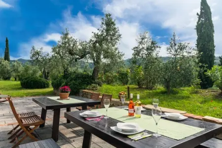 Villa Di Vinci - Maison 8 pers., piscine & maison d'amis : photo 8