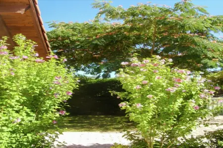 Maison Austine, 8 personnes avec piscine privée : photo 21