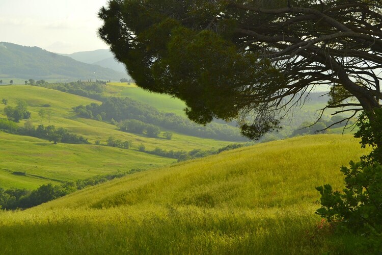 Il Camino, maison toscane en ferme active 4 pers. - Photo 25