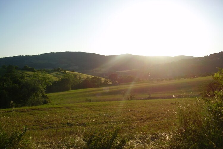 Il Camino, maison toscane en ferme active 4 pers. - Photo 26