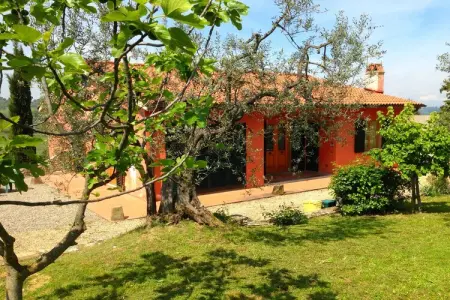 Il Camino, maison toscane en ferme active 4 pers. : photo 20