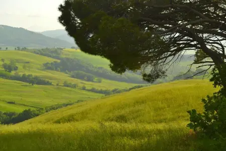 Il Camino, maison toscane en ferme active 4 pers. : photo 25