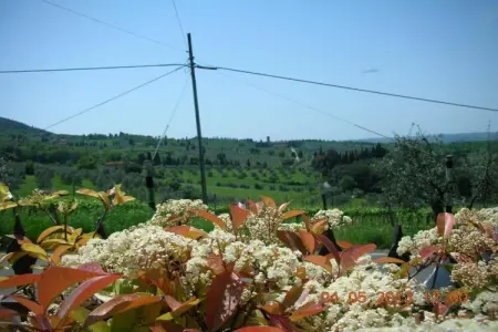 Il Camino, maison toscane en ferme active 4 pers. : photo 30
