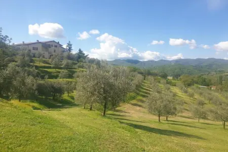 Il Camino, maison toscane en ferme active 4 pers. : photo 39