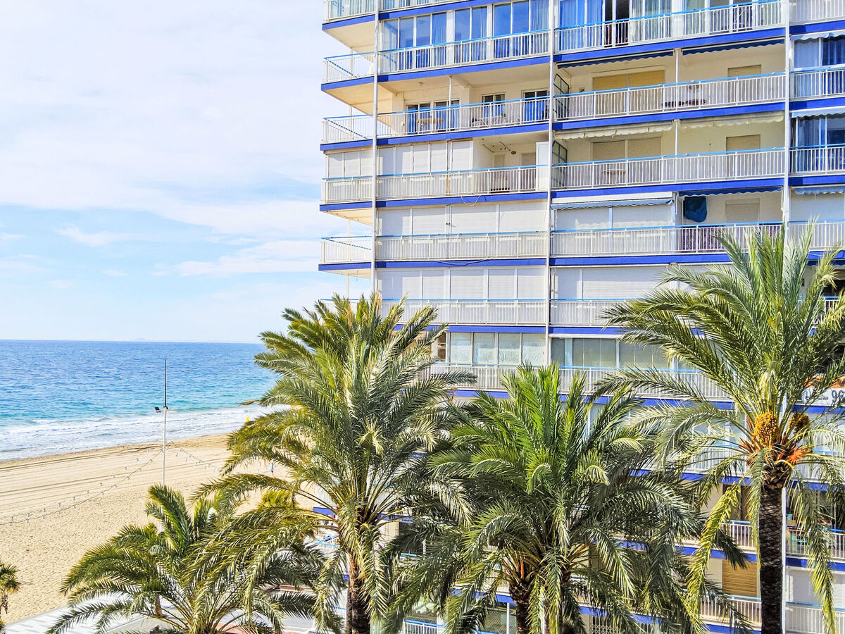 Copacabana, appartement 6 pers. face à Playa Levante - Photo 22
