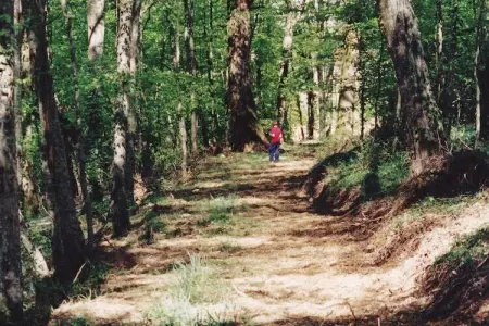 Château de 1485 en bordure de l'Allier : photo 33
