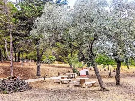 Le Chais - Gîte 4 pers. sur domaine viticole - Photo 18