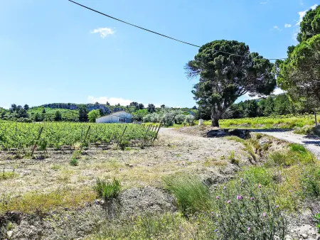 Le Chais - Gîte 4 pers. sur domaine viticole - Photo 30