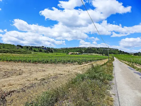 Le Chais - Gîte 4 pers. sur domaine viticole - Photo 31