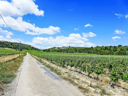 Le Chais - Gîte 4 pers. sur domaine viticole - Photo 32