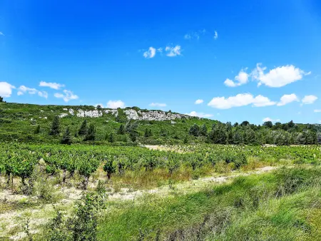 Le Chais - Gîte 4 pers. sur domaine viticole - Photo 33