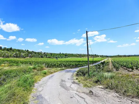 Le Chais - Gîte 4 pers. sur domaine viticole - Photo 34