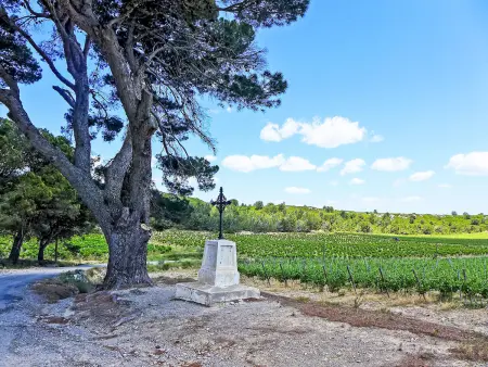 Le Chais - Gîte 4 pers. sur domaine viticole - Photo 37
