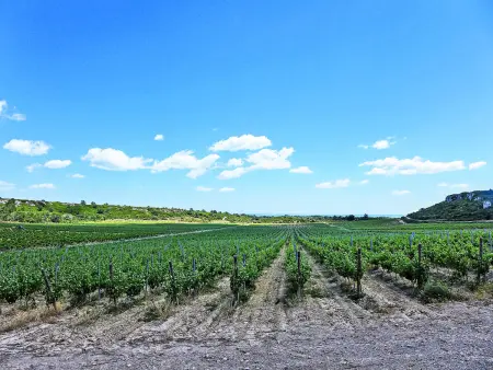 Le Chais - Gîte 4 pers. sur domaine viticole - Photo 38
