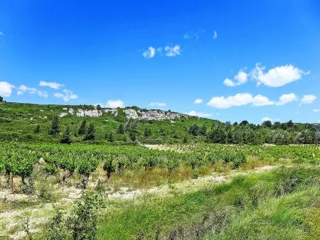 Le Chais - Gîte 4 pers. sur domaine viticole - Photo 39