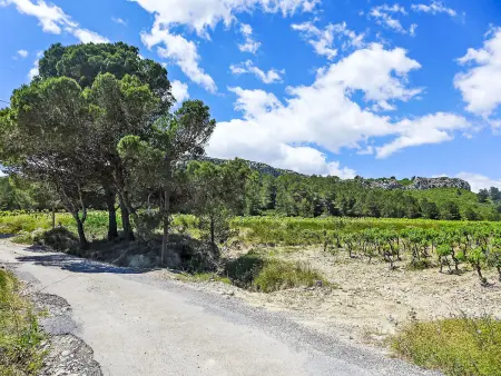Le Chais - Gîte 4 pers. sur domaine viticole - Photo 40