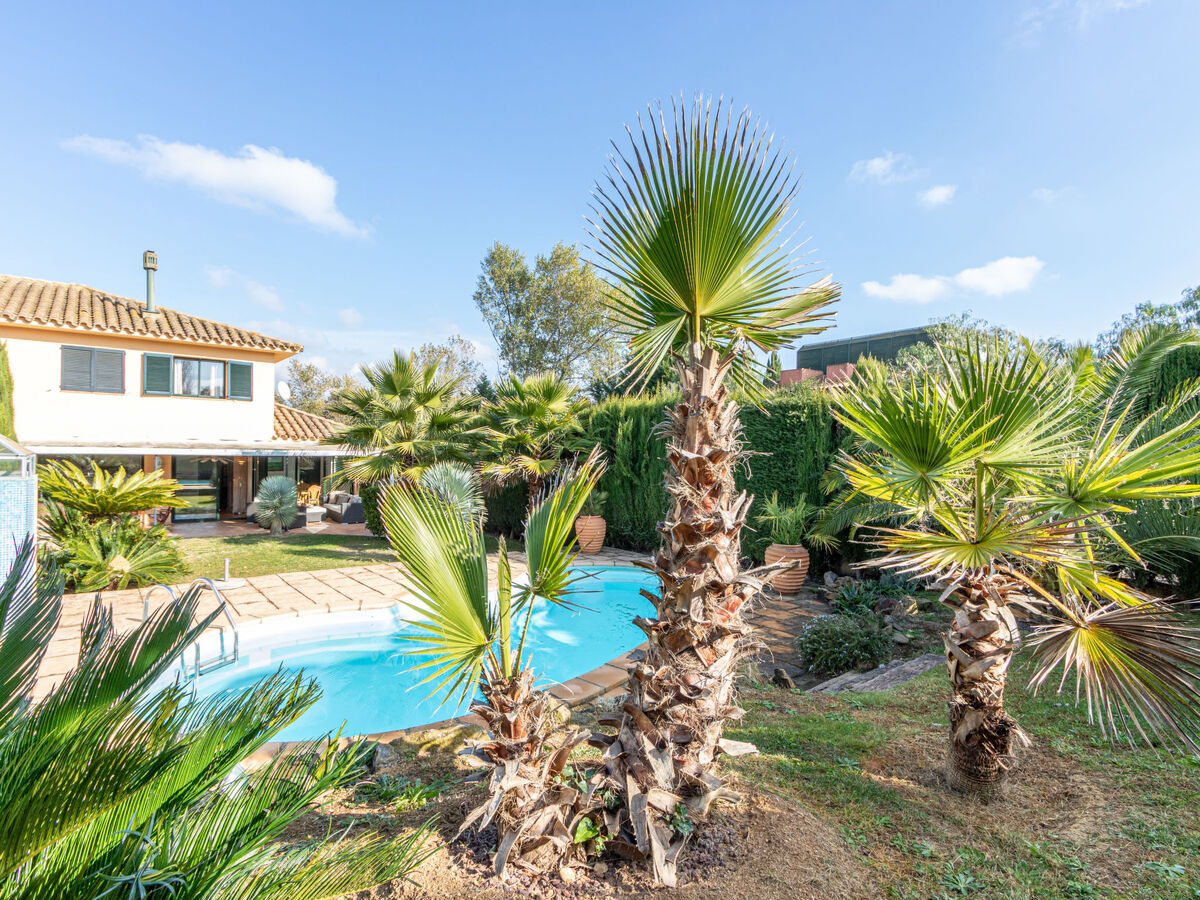 Maison Acacies - 4 pers., piscine privée à Navata - Photo 23