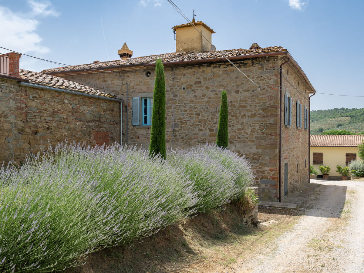Santa Lucia – Maison 7 pers. piscine à Castiglion Fiorentino - Photo 33