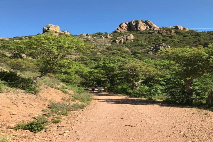 Jonila – Maison Fayence piscine privée 6 pers. - Photo 26