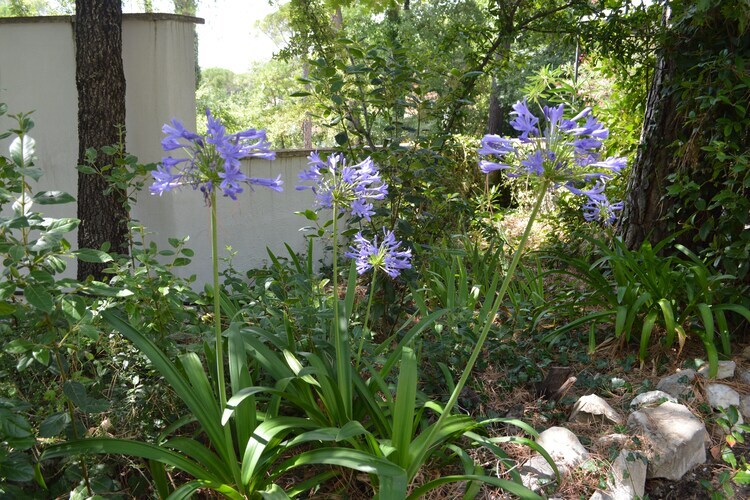 Jonila – Maison Fayence piscine privée 6 pers. - Photo 39
