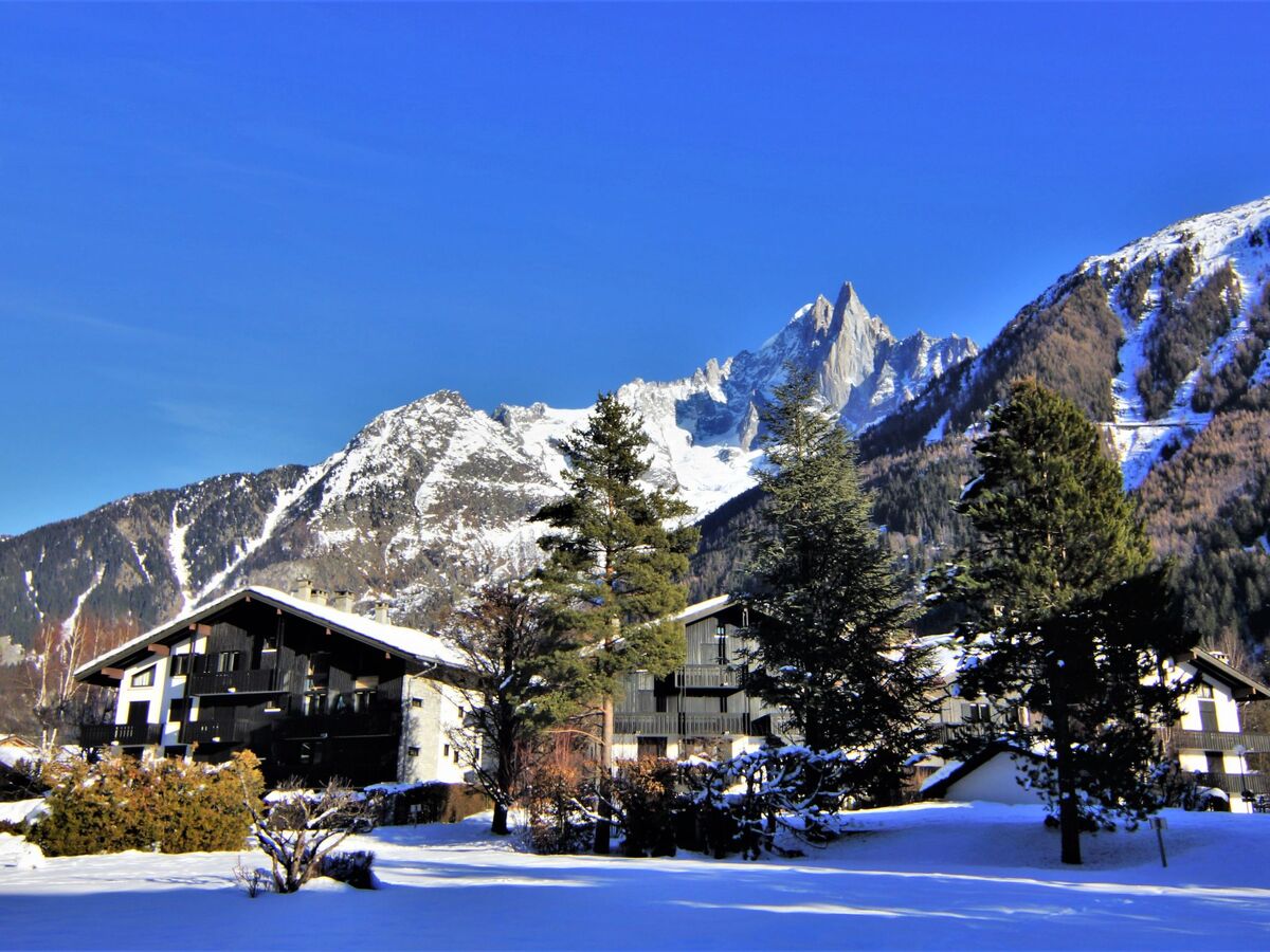 Studio avec vue montagne aux Praz-de-Chamonix - Photo 14