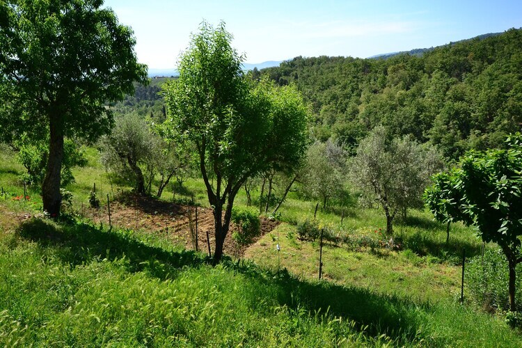 Maison Trebbiano, 2 pers., piscine & lac à Figline - Photo 31